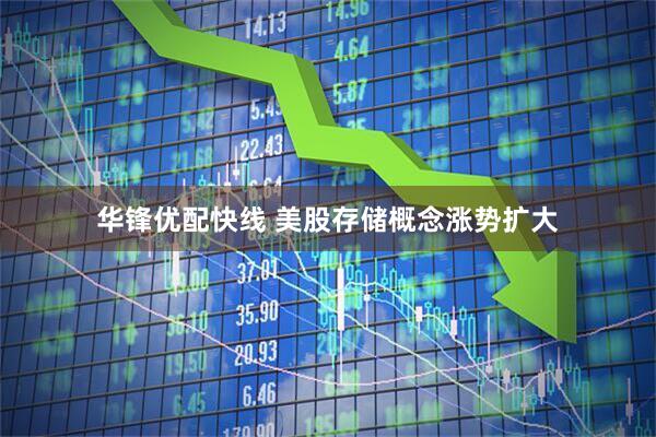 华锋优配快线 美股存储概念涨势扩大