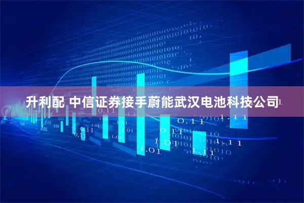 升利配 中信证券接手蔚能武汉电池科技公司