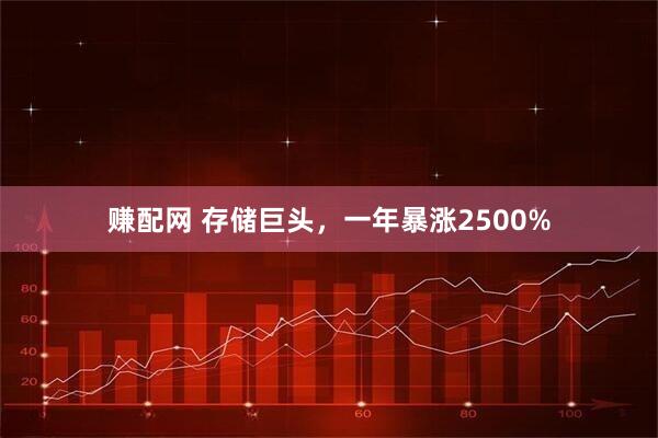 赚配网 存储巨头，一年暴涨2500%