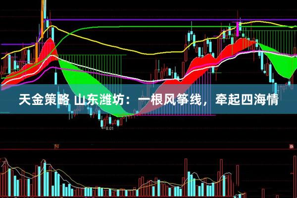 天金策略 山东潍坊：一根风筝线，牵起四海情