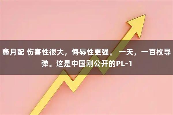鑫月配 伤害性很大，侮辱性更强。 一天，一百枚导弹。这是中国刚公开的PL-1