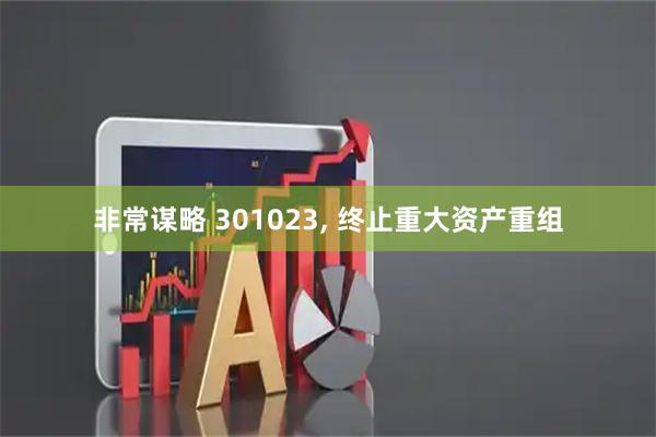 非常谋略 301023, 终止重大资产重组