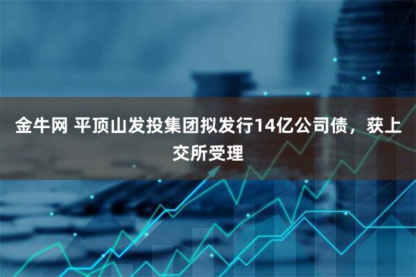 金牛网 平顶山发投集团拟发行14亿公司债，获上交所受理