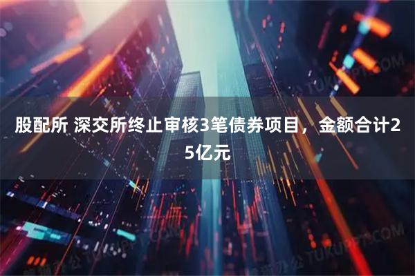 股配所 深交所终止审核3笔债券项目，金额合计25亿元