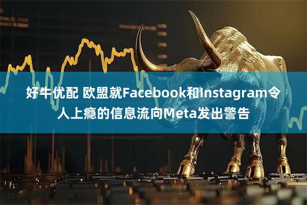 好牛优配 欧盟就Facebook和Instagram令人上瘾的信息流向Meta发出警告