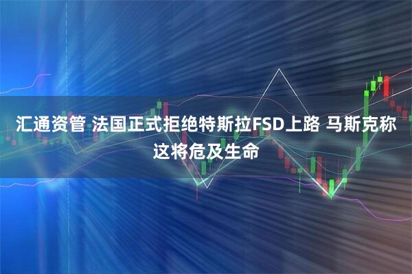 汇通资管 法国正式拒绝特斯拉FSD上路 马斯克称这将危及生命